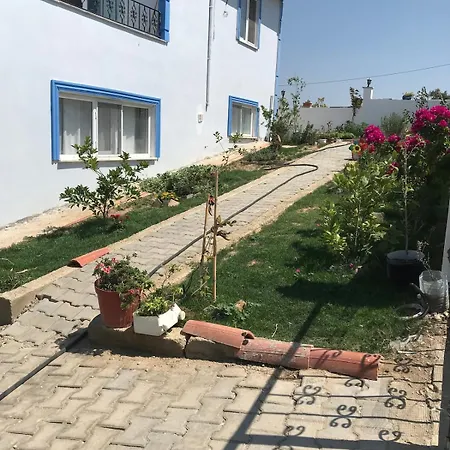 3 Km From Bozcaada Pier, In Touch With Nature شقة *
